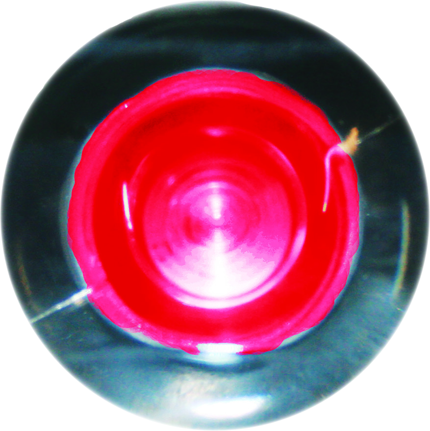 SeaSense 50030002 Red LED Frosted Livewell Light