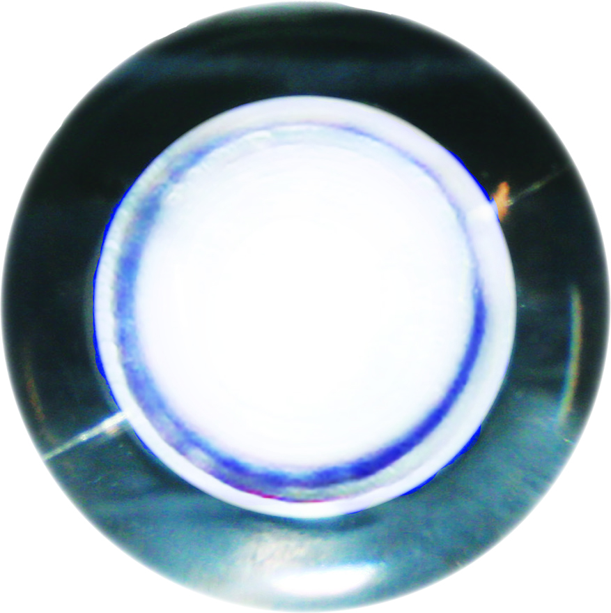 SeaSense 50030003 White LED Frosted Livewell Light