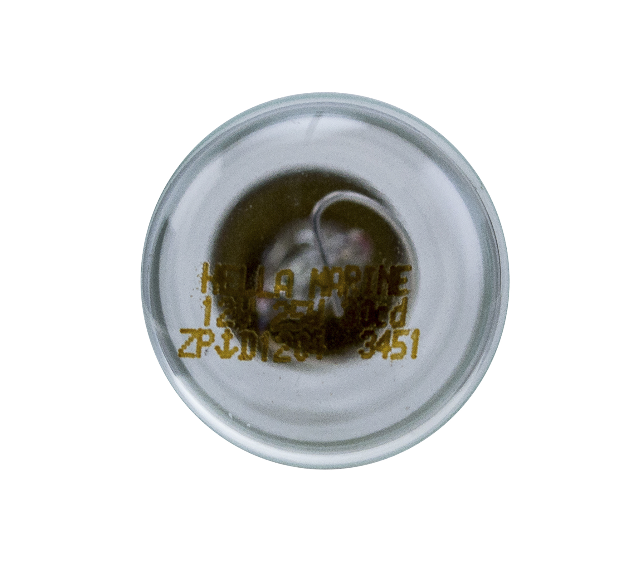 Hella 003488301 Hella 2984 Series Replacement Bulb Only