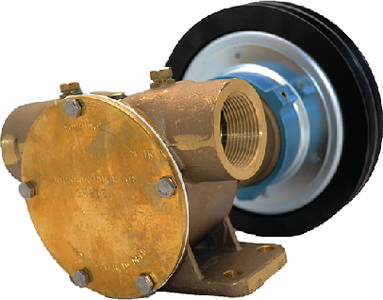 Johnson Pumps 101302290 F8B-50017 Heavy Duty Electro-Magnetic Clutch Pump 1-1/2" NPT 12V