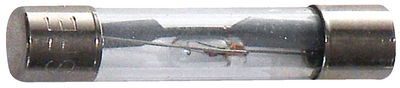 WirthCo 24602 AGC Glass Fuse 2 Amp Automotive Circuit Protection