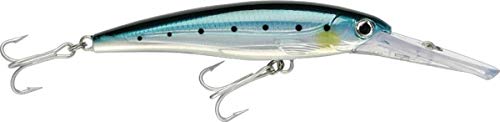 Rapala XRMAG20BSRD X-Rap Magnum 20 Trolling Lure 5.5" Blue Sardine