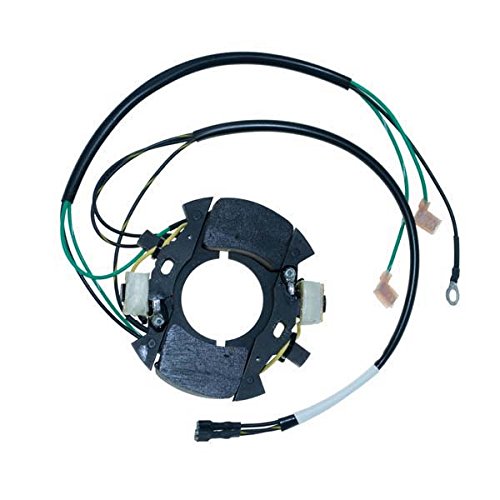 CDI Electronics 110-0958 Eska 2 Cylinder CD Ignition Module
