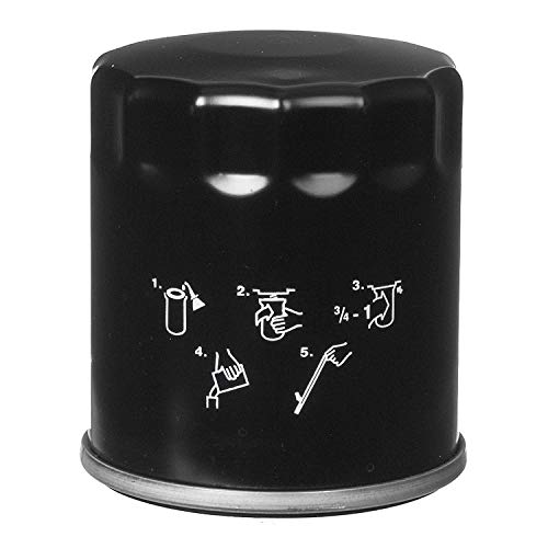 Picture of ACDelco PF666 Professional Engine Oil Filter