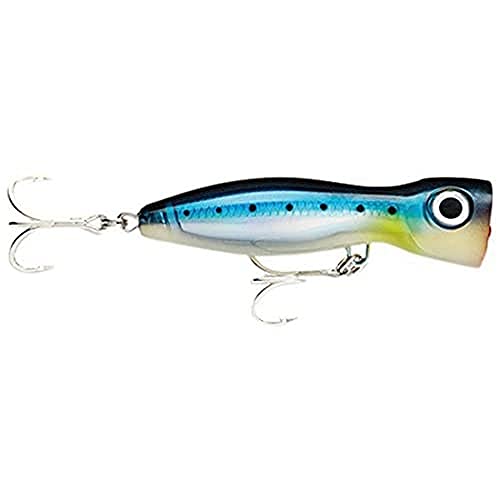 Rapala XRMAGXP170BSRD X-Rap Magnum Xplode 170 Topwater Popper Blue Sardine
