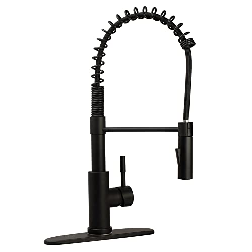 Dura Faucet DF-MK504SLK-MB RV Spring Coil Pull-Down Kitchen Faucet with High-Arc Spout - Matte Black