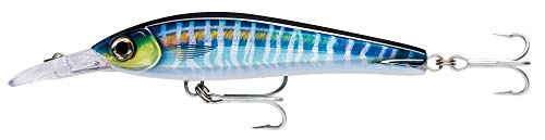 Rapala XRMAGXT160HDWHU X-Rap Magnum Xtreme 6.3" Trolling Lure HD Wahoo UV