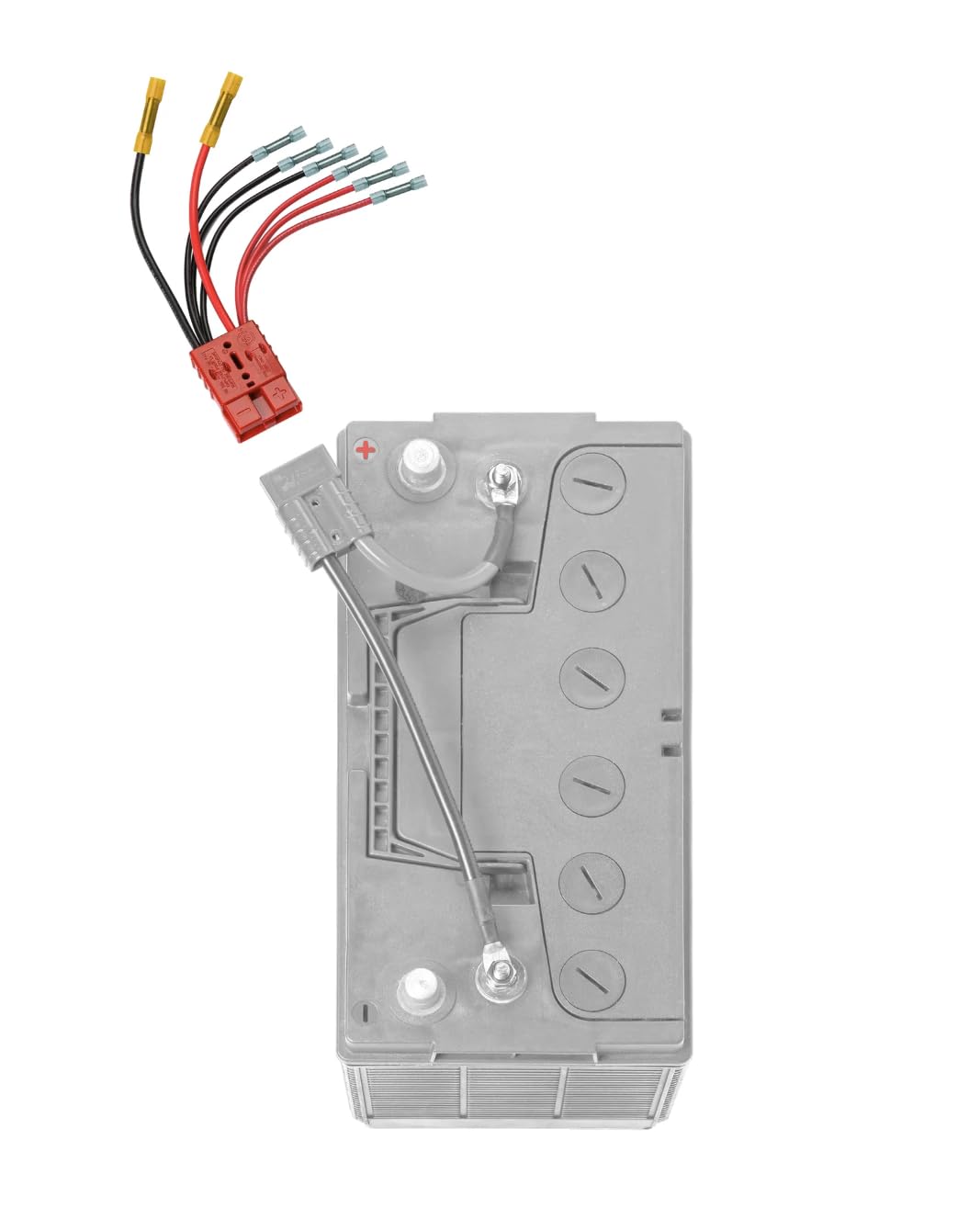 Connect-Ease RCE12VB4 Multi 4-Lead Battery Accessory Harness
