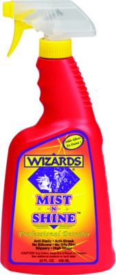 Day-Glo Color WIZA01214 Mist-N-Shine Professional Detailer 22 oz
